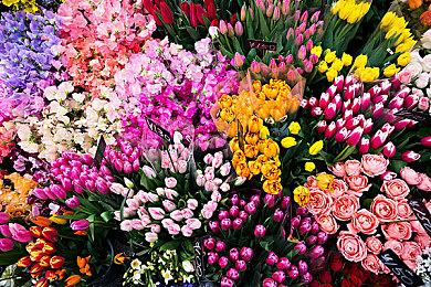 手绘风暗黑幻想平台动作游戏《破灭》上线Steam 支持中文