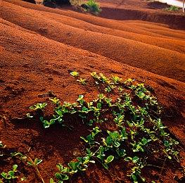 前拳头员工MOBA新作《Evercore Heroes》正式公布 四队玩家PVE竞技