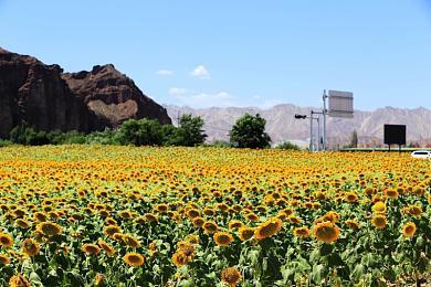 动作玄幻类游戏《面仙》Steam页面上线 发售日期待定